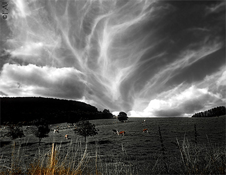 Abstand eines Punktes von der Ebene