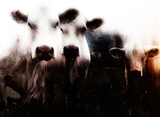 Integralrechnung nach Merkel