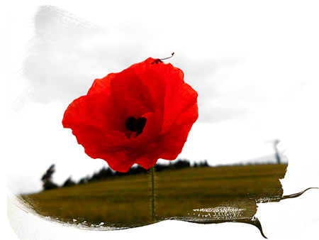 Integrale irrationaler Funktionen