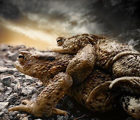 Statische Definition der Wahrscheinlichkeit